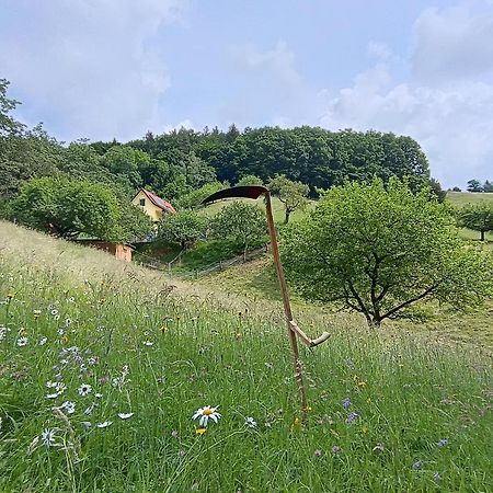 Ferienhaus Grabenhansl Stubenberg Exteriér fotografie