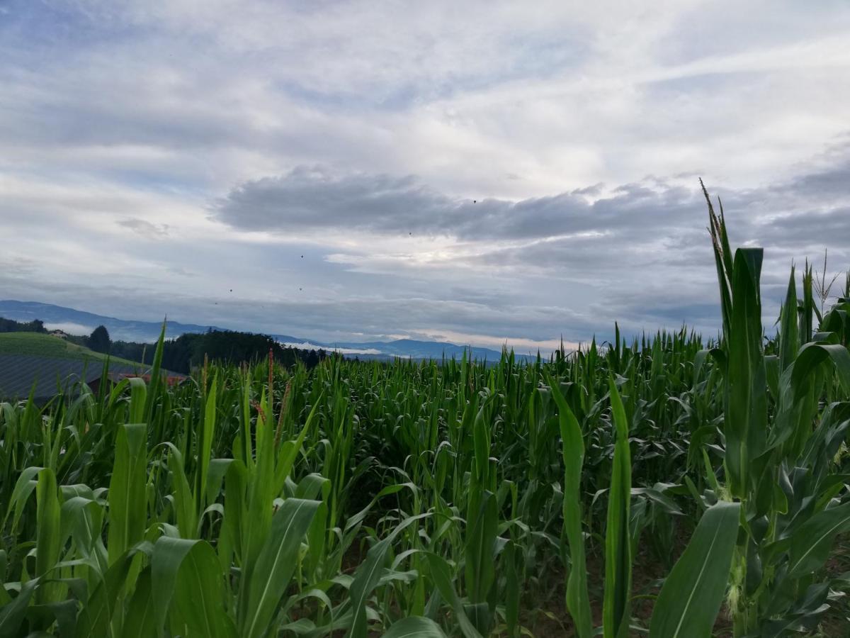 Ferienhaus Grabenhansl Stubenberg Exteriér fotografie