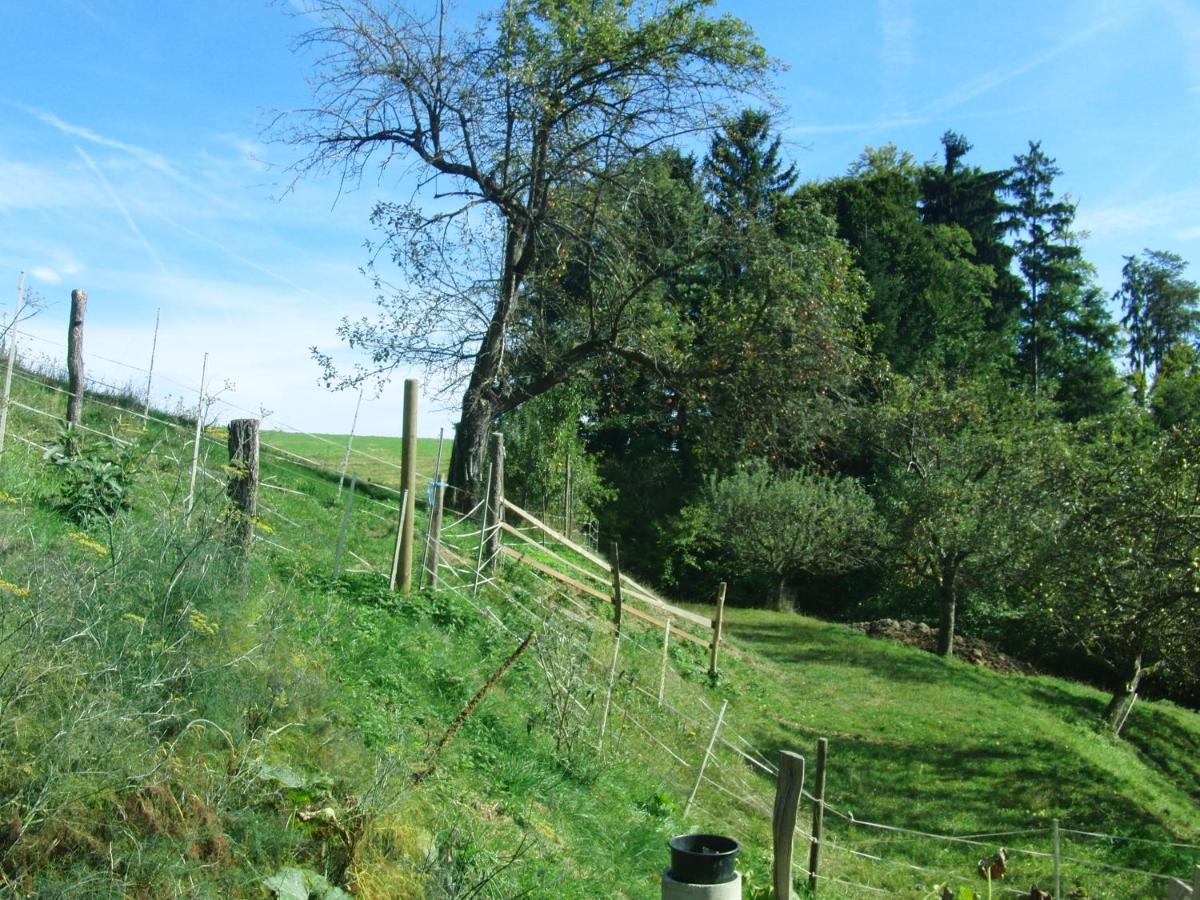 Ferienhaus Grabenhansl Stubenberg Exteriér fotografie