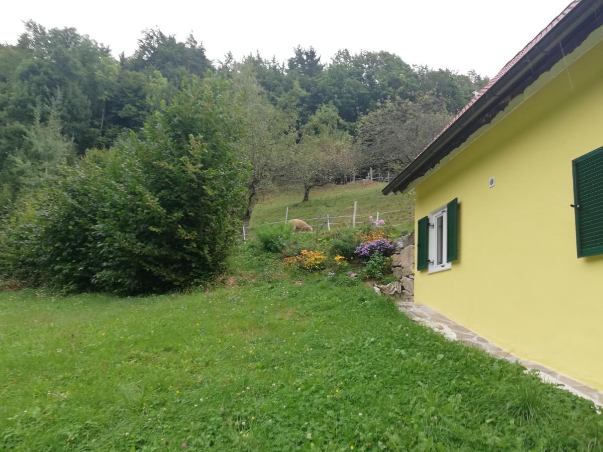 Ferienhaus Grabenhansl Stubenberg Exteriér fotografie
