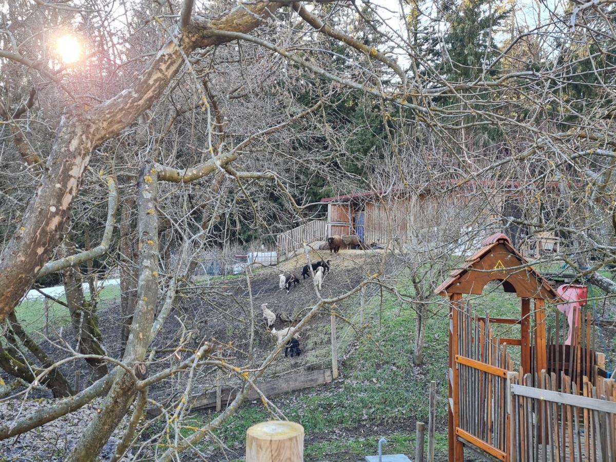 Ferienhaus Grabenhansl Stubenberg Exteriér fotografie