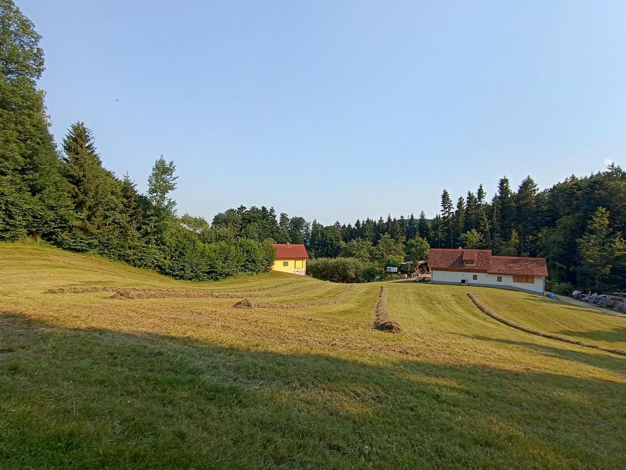 Ferienhaus Grabenhansl Stubenberg Exteriér fotografie