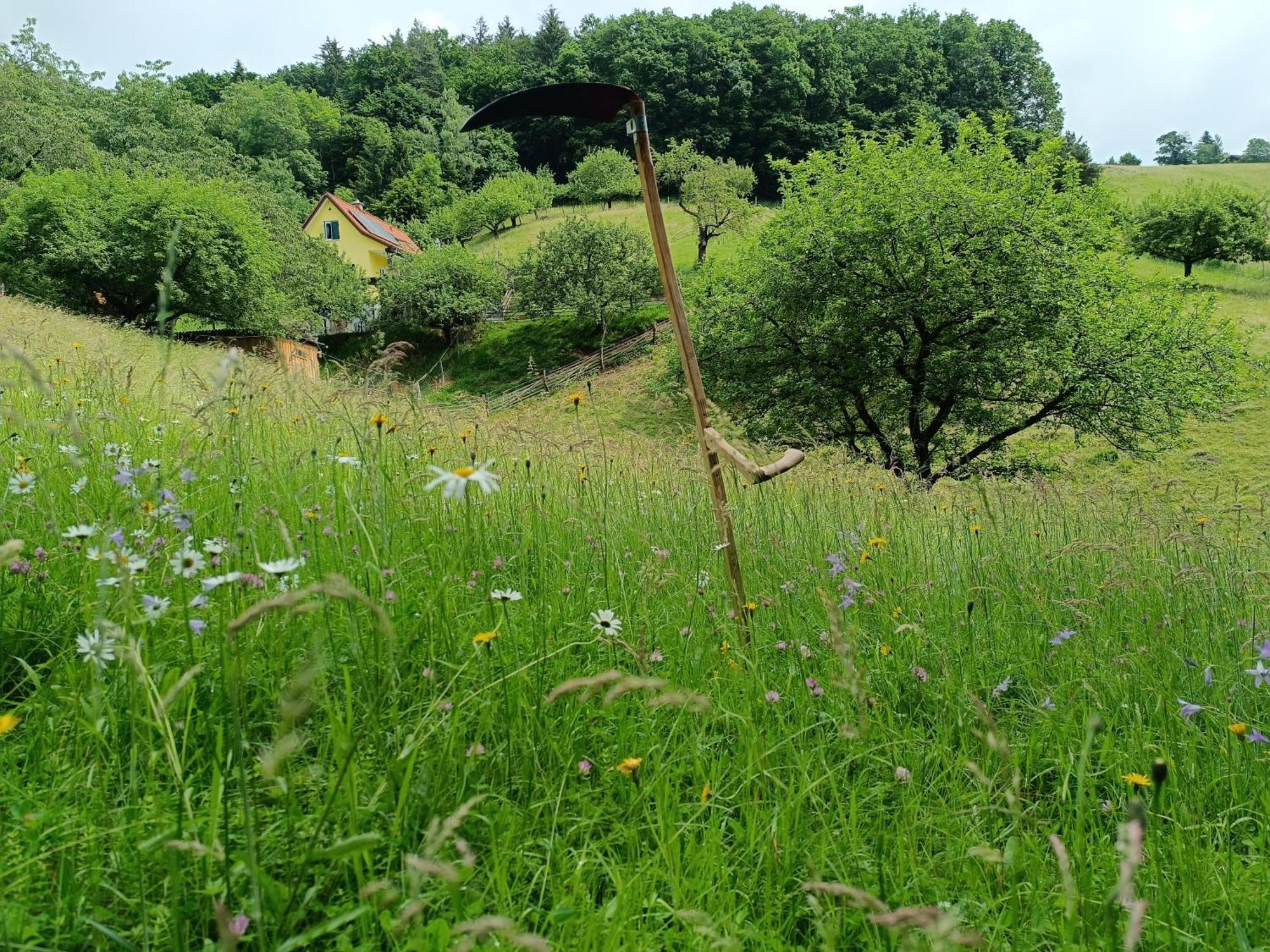 Ferienhaus Grabenhansl Stubenberg Exteriér fotografie